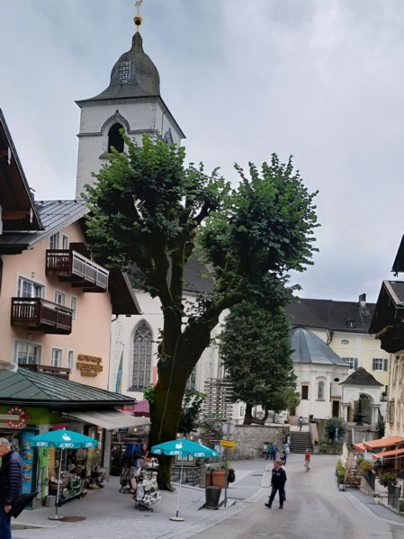 20230852907_U_Strobl.jpg