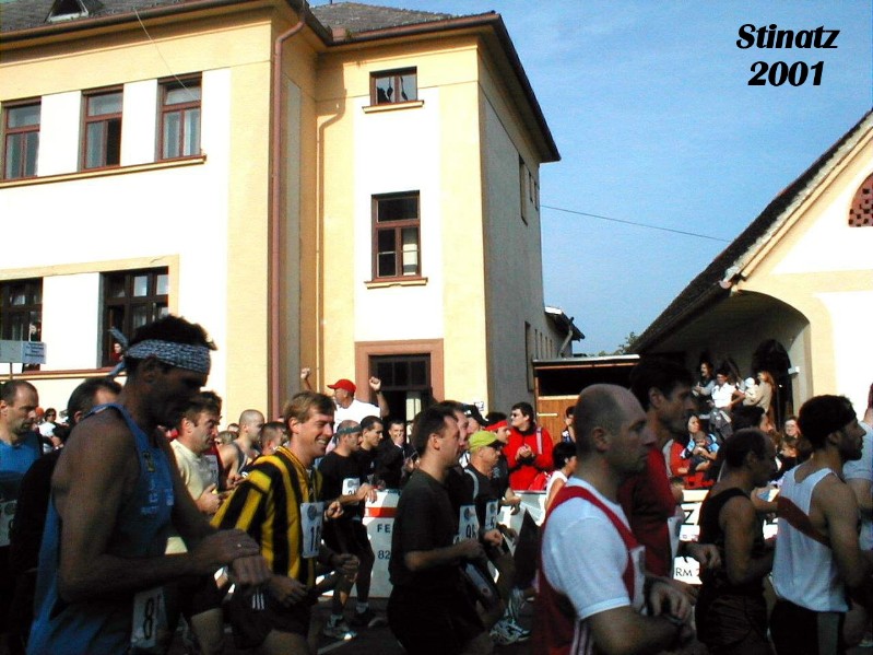 2001-10a_Stinatz.jpg