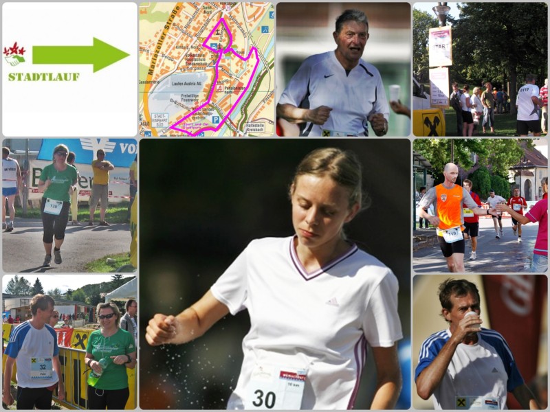 2009-07-25 Wilhelmsburg2.jpg