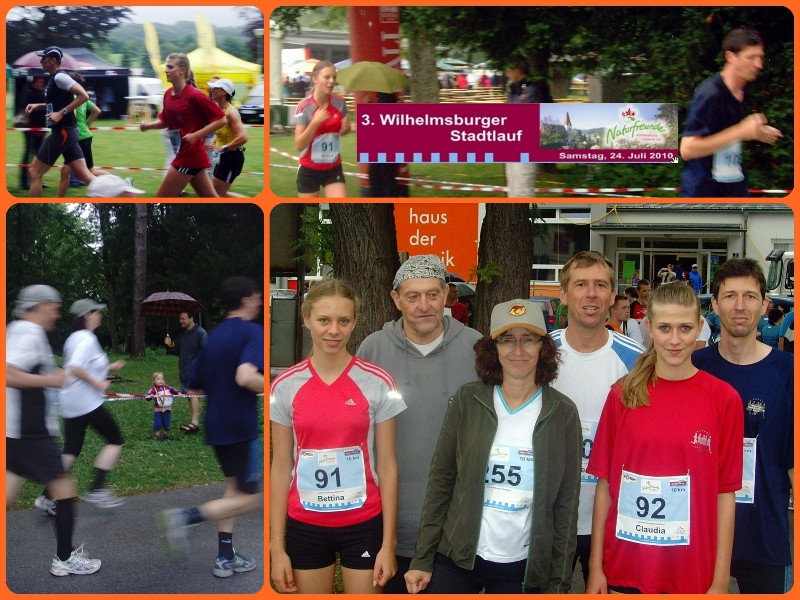 2010-07-24 Wilhelmsburg1.jpg