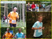 2012-08-26 Wienerwaldlauf.jpg