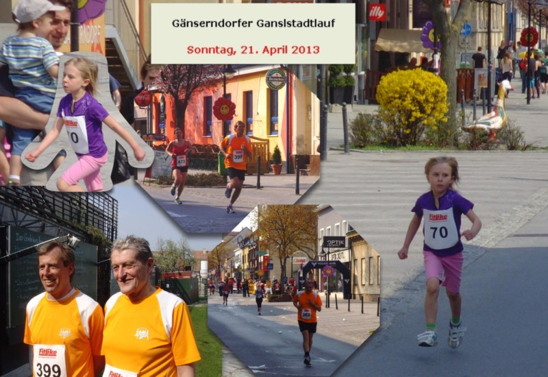 2013-04-21_Gaenserndorf.jpg