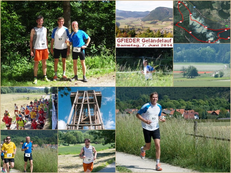 2014-06-07 Gfiederer Gelaendelauf Ternitz.jpg