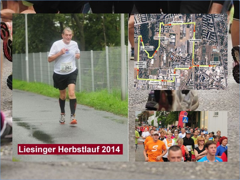 2014-09-13 Liesing.jpg