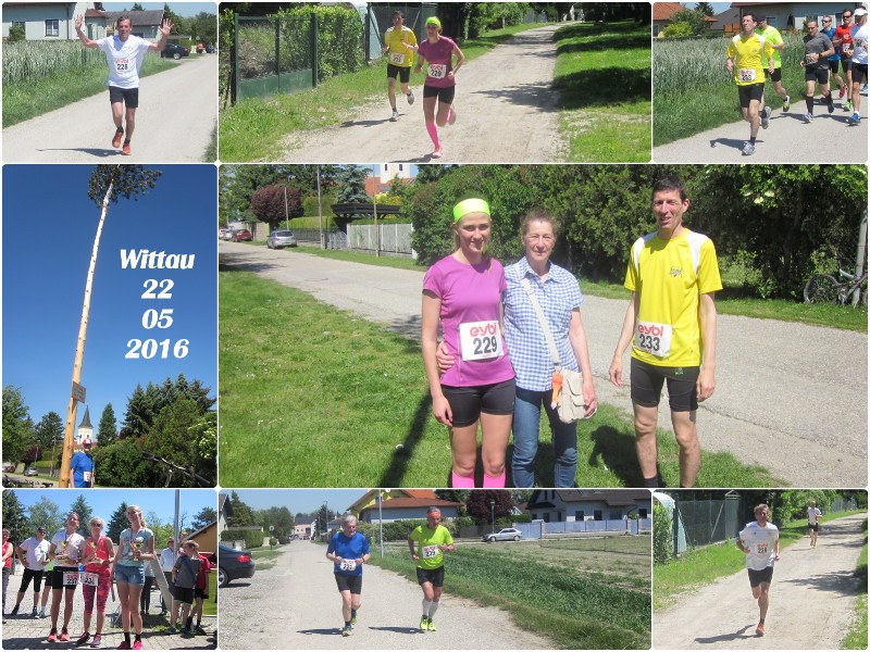 2016-05-22 Wittau.jpg