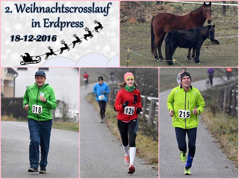 2016-12-18 Erdpress.jpg