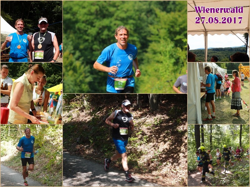 2017-08-27 Wienerwald.jpg