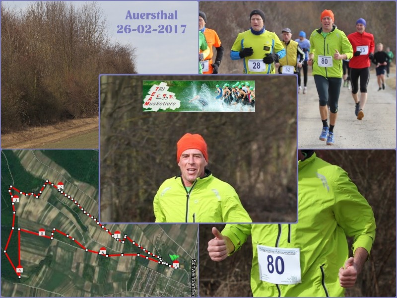 2017-02-26 Auersthal.jpg