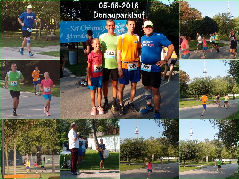 2018-08-05 Donauparklauf.jpg