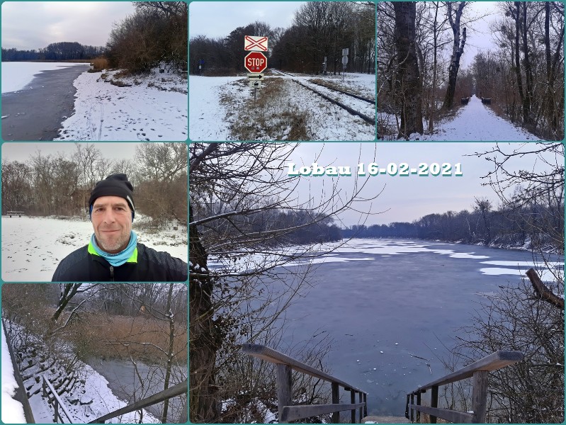 2021-02-16 Lobau.jpg