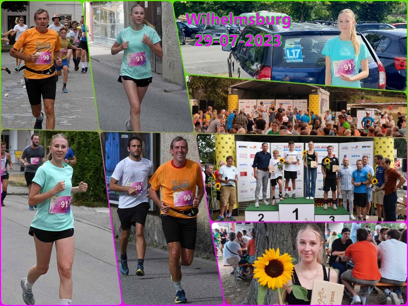 2023-07-23 Wilhelmsburg.jpg