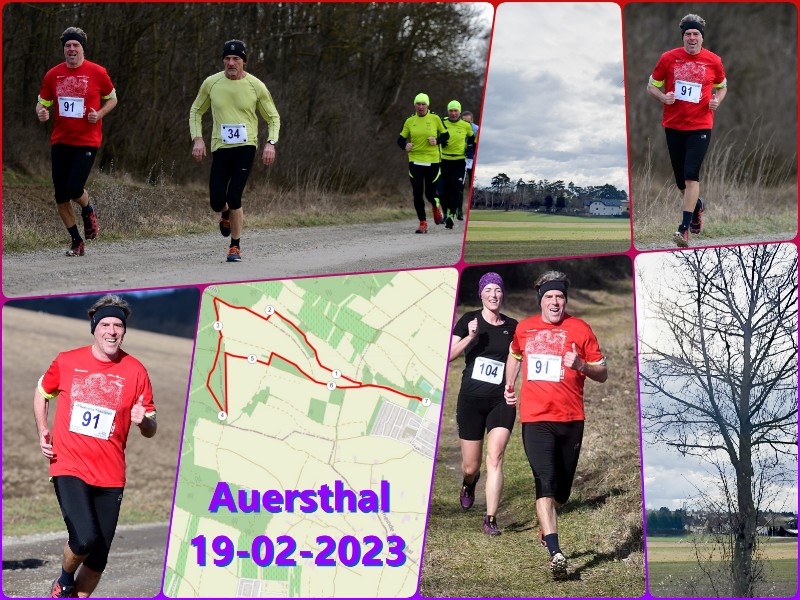 2023-02-19 Auersthal.JPG
