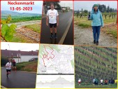 2023-05-13 Neckenmarkt.jpg