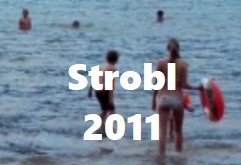 Film Strobl 2011