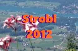 Film Strobl 2012
