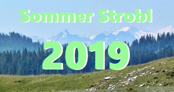 Galerie Sommerurlaub 2019