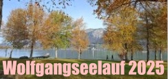 Galerie Wolfgangseelauf 2025