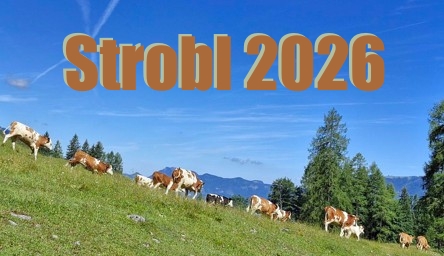 Galerie Sommerurlaub 2026